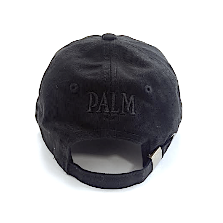Palm Vaults Cap Black Ghost